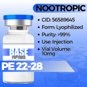 PE 22-28